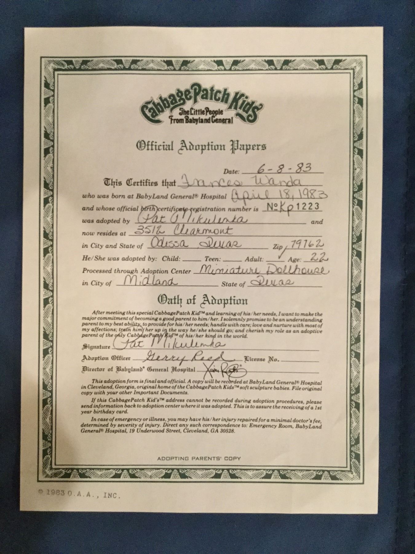 cabbage patch adoption papers