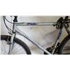 Image 2 : GREY TELURIDE BIKE