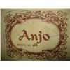 Image 2 : ANJO ACOUSTIC GUITAR