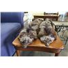 Image 2 : 2 ANIMAL PELTS