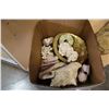Image 2 : BOX OF SEASHELLS AND CORAL