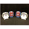 Image 1 : HOCKEY TEAM PAPERWEIGHTS LOT (PREDATORS/ AVALANCHE)