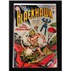 Image 1 : BLACKHAWK #173 (DC COMICS)