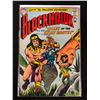 Image 1 : BLACKHAWK #193 (DC COMICS)
