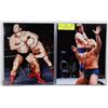 Image 1 : WWE SUPERSTARS IRON SHEIK & GREG VALENTINE SIGNED