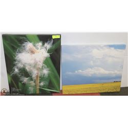 PAIR OF STRETCHED CANVAS PICTURES