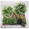 Image 1 : FLAT OF ARTIFICIAL PLANTS AND SUCCULENTS