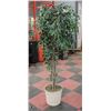 Image 1 : ARTIFICIAL SILK TREE 76" TALL