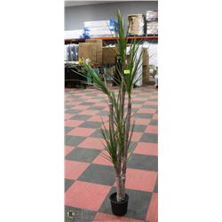 ARTIFICIAL YUCCA TREE 74" TALL