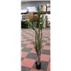 Image 1 : ARTIFICIAL YUCCA TREE 74" TALL