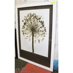 FRAMED BLACK & WHITE DANDELION PICTURE 31 X 43