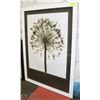 Image 1 : FRAMED BLACK & WHITE DANDELION PICTURE 31 X 43