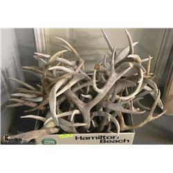 LOT OF 41LBS OF ASSORTED DEER SHEDS ANTLERS