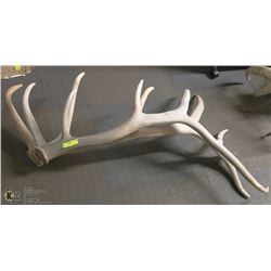 PAIR OF ELK SHEDS