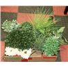 Image 1 : FLAT OF SHOWHOME ARTIFICIAL PLANTS & FLOWERS