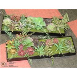 PAIR OF ARTIFICIAL CACTUS TRAY DISPLAYS, 22X17