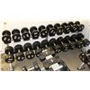 Image 1 : STAR TRAC DOUBLE TIER DUMBBELL RACK