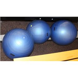 LOT OF 3 ASSORTED EXERCISE BALLS