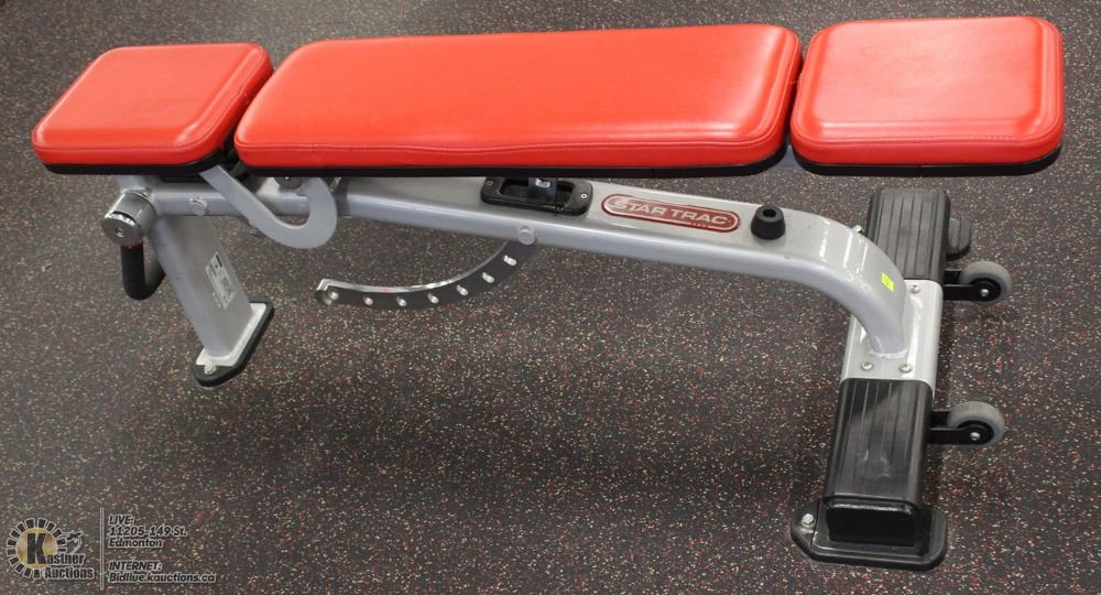 Star Trac Adjustable Bench