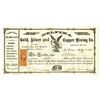 Image 1 : Delfina Gold, Silver and Copper Mining Co., 1863 Stock Certificate.