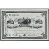 Image 1 : Starr-Grove Silver Mining Co. 1881 Issued Stock.