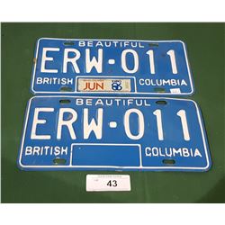 PAIR OF EXPO 86 BC LICENSE PLATES