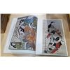 Image 2 : JAPANESE PRINTS LARGE PICTURE BOOK 1700-1900