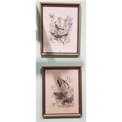 PAIR FRAMED VINTAGE BIRD PRINTS