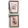 Image 1 : PAIR FRAMED VINTAGE BIRD PRINTS