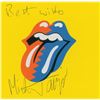 Image 1 : Rolling Stones: Mick Jagger