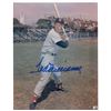 Image 1 : Ted Williams