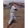 Image 2 : Ted Williams