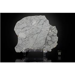 NWA 8022 Lunar Meteorite Slice
