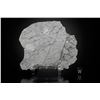 Image 1 : NWA 8022 Lunar Meteorite Slice