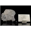 Image 2 : NWA 8022 Lunar Meteorite Slice