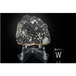 NWA 11303 Lunar Meteorite End Cut