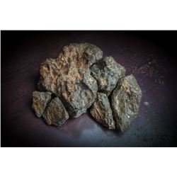 NWA 11789 Lunar Meteorite