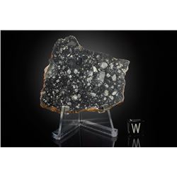 NWA 11303 Lunar Meteorite Slice