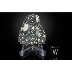 NWA 11303 Lunar Meteorite Slice