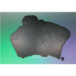 Belle Plaine Meteorite Slice