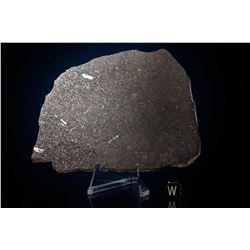Dar El Kahal Meteorite Slice