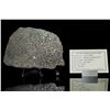 Image 2 : Dar El Kahal Meteorite Slice