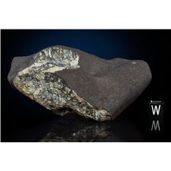 Chelyabinsk Meteorite