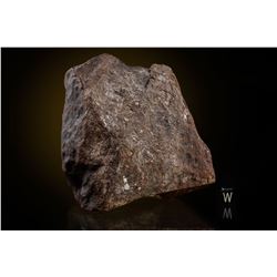 El Boludo Meteorite Slice and Individual