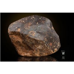 Labenne Sahara Individual Meteorite