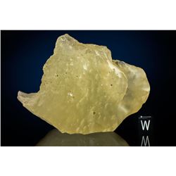 Libyan Desert Glass Impactite
