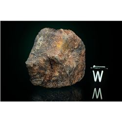 Millbilillie Individual Meteorite