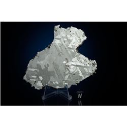 Morasko Meteorite Slice