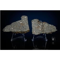 NWA 869 Meteorite Matched Pair