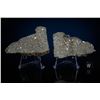 Image 1 : NWA 869 Meteorite Matched Pair